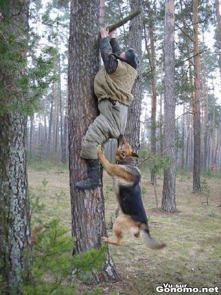 La relation priviligiee entre un chasseur et son chien lol
