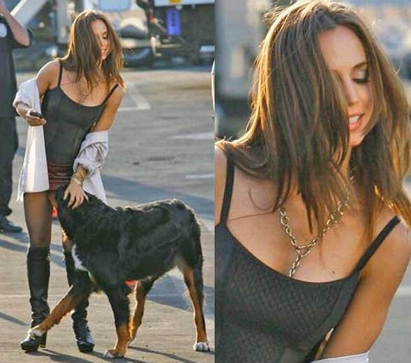 Un chien met sa tete sous la jupe de Eliza Dushku :p