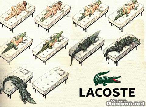 Lacoste : les origines du crocodile