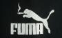 Variante du logo Puma