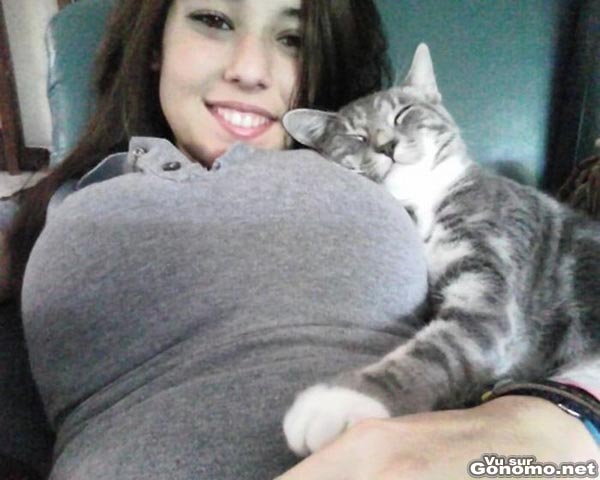 Un chat heureux blotti contre la grosse poitrine de sa maitresse. Quel chanceux celui la !