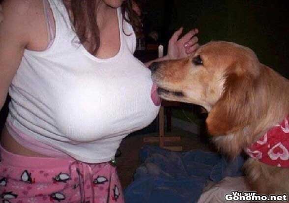Un chien leche les seins de sa maitresse ! Fake les seins ??