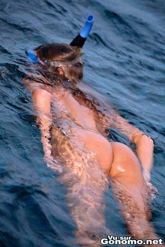 Plongeuse nu : une femme nue fait de la plongee sous marine juste avec son tuba