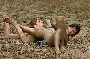Catch dans la boue : du catch nu feminin dans une enorme marre de boue ! :)