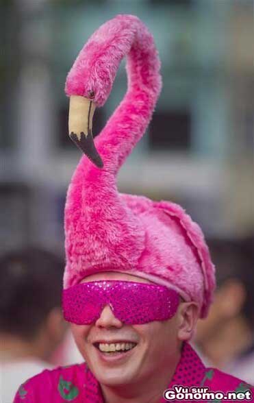 Un deguisement ridicule avec ce chapeau poilu en forme de flamant rose ... :s