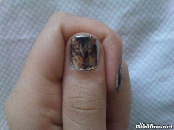 Manicure personnalisee avec la photo de son chat :s