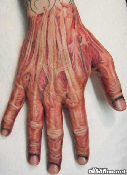 Les muscles de la main en tatoo