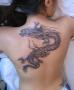 Un magnifique dragon en tatouage sur ce dos sexy