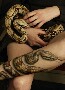 Un tatouage de serpent autour du mollet aussi realiste que le serpent qu il tient dans les bras