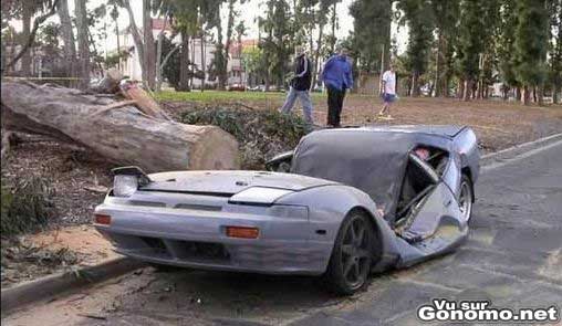 accident voiture ecrasee car