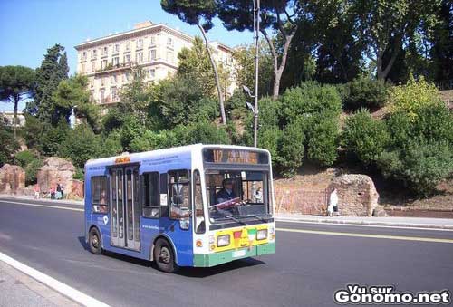 Minibus : un autobus si petit que l on dirait un jouet ...