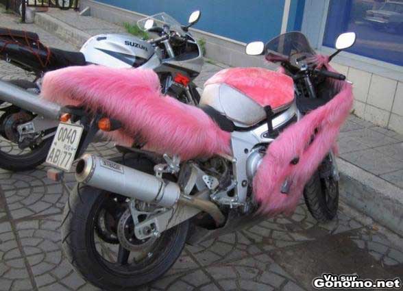 Une moto avec de la fourrure, trop sexy :p