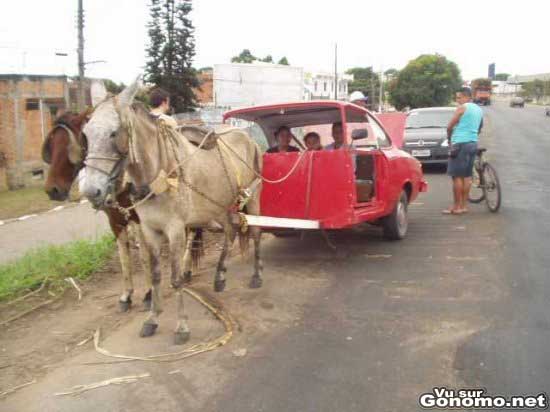 tunning charette cheval voiture